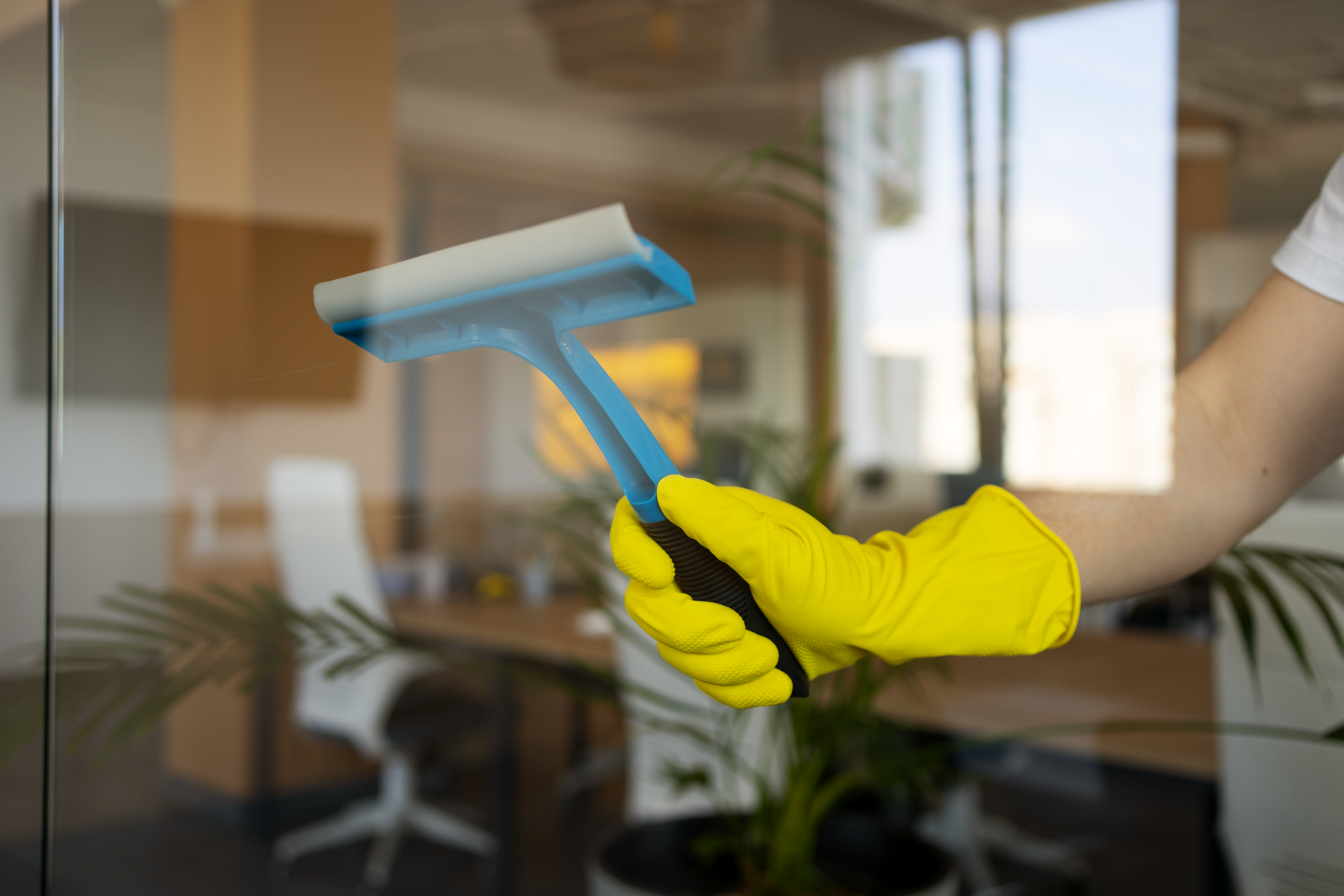 Professional Window Cleaning in Ottawa