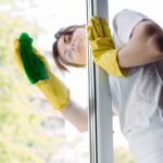 Professional Window Cleaning for Residential and Commercial Properties