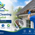 Gutter Cleaning Manotick – Protect Your Home with Professional Gutter Maintenance