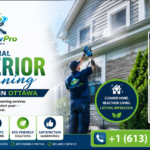 Professional Exterior Cleaning Company for Cleaner Ottawa Homes