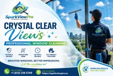 Professional Window Cleaning Services – 7 Tips to Smart Hiring professional-window-cleaning-smart-hiring-tips