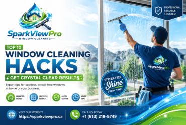 Top 10 Window Cleaning Hacks Get Crystal Clear Results top-10-window-cleaning-hacks-crystal-clear-results